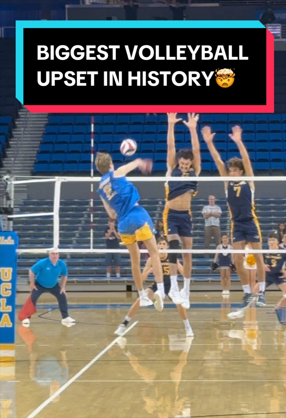 @First Seed Volleyball