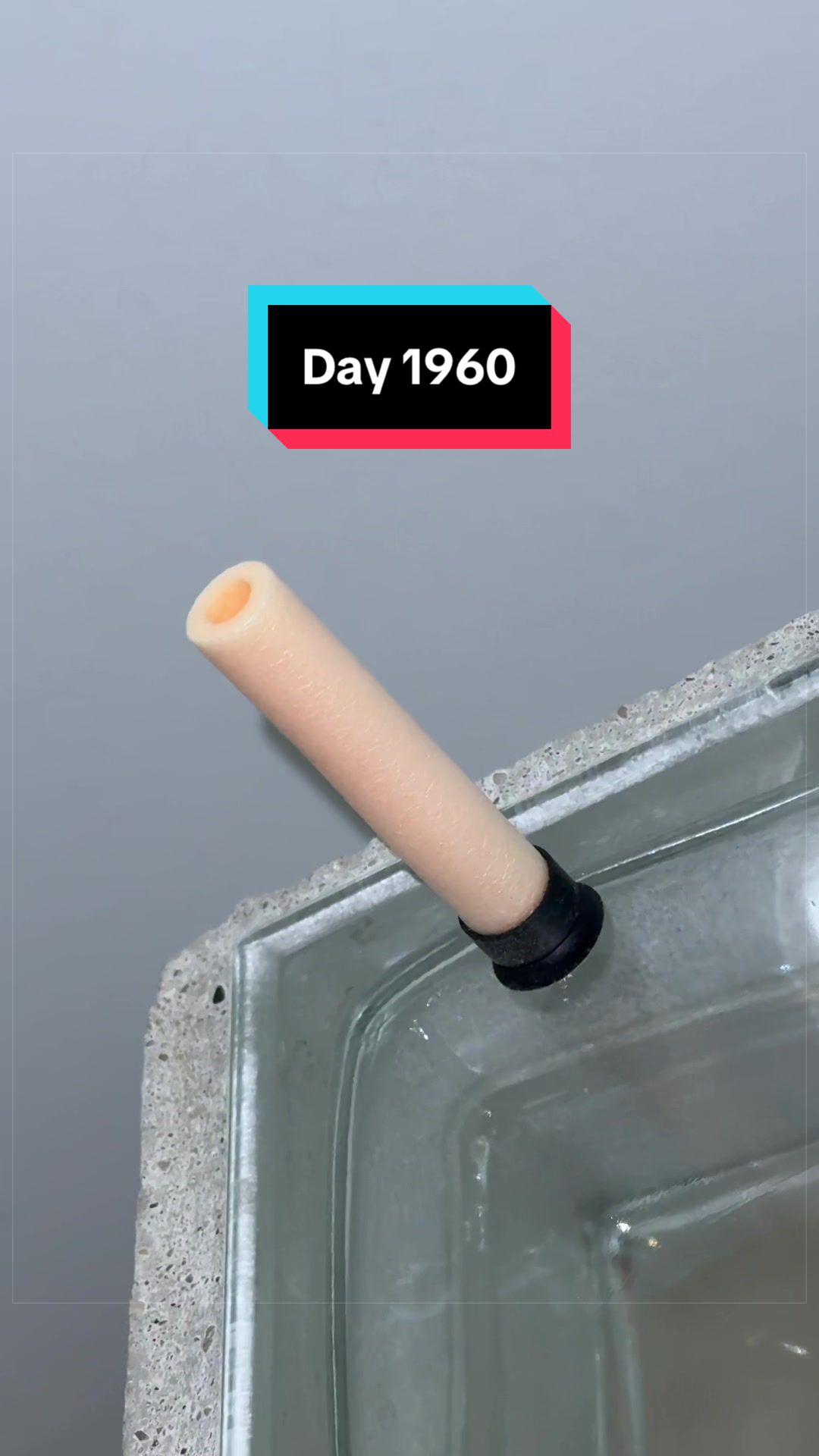 @The Immortal Nerf Dart
