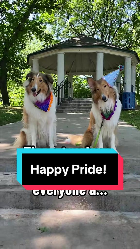@Dakota & Pups