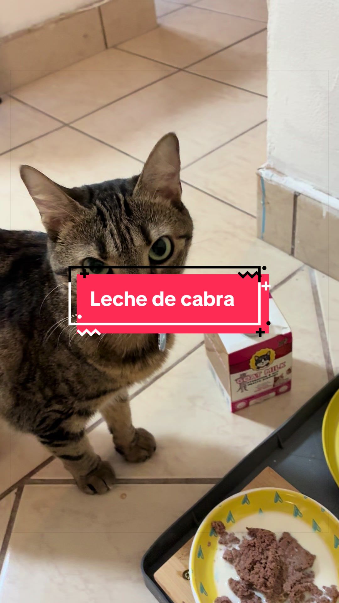 @Pily y Abelito