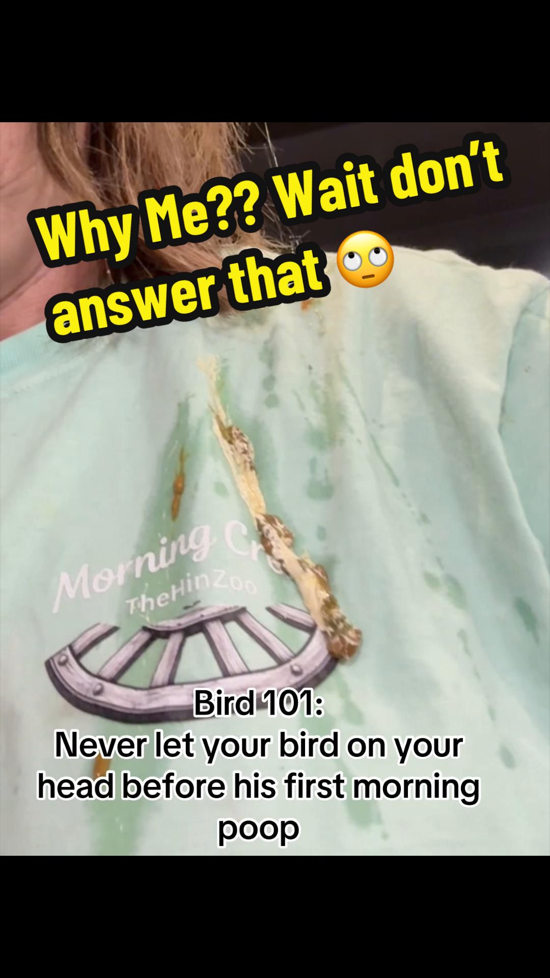 @thehinzoo