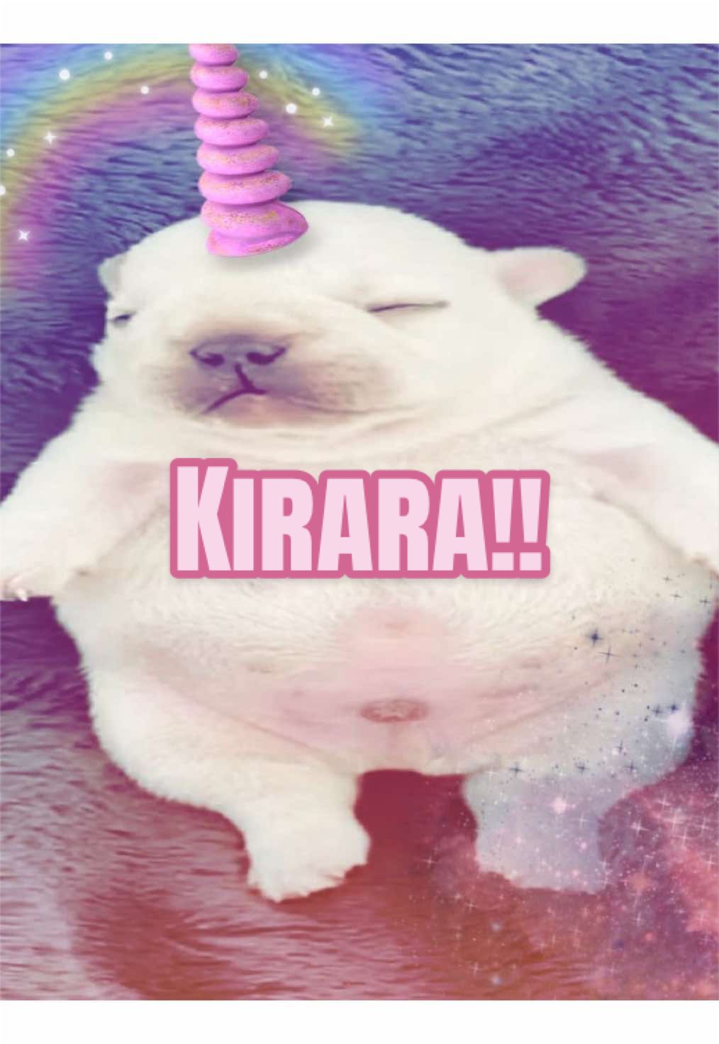@ᴘᴜᴘᴘʏ🦴