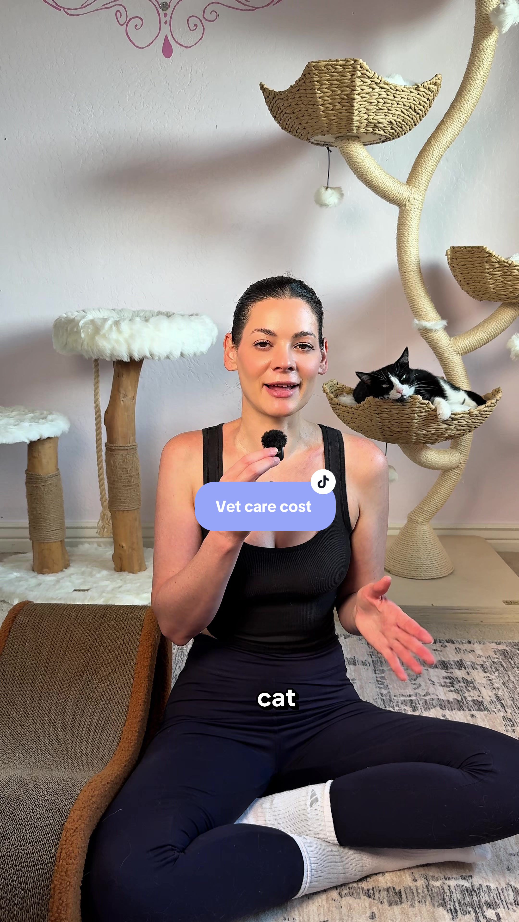 @Feminist Kitty | Cat Nutrition