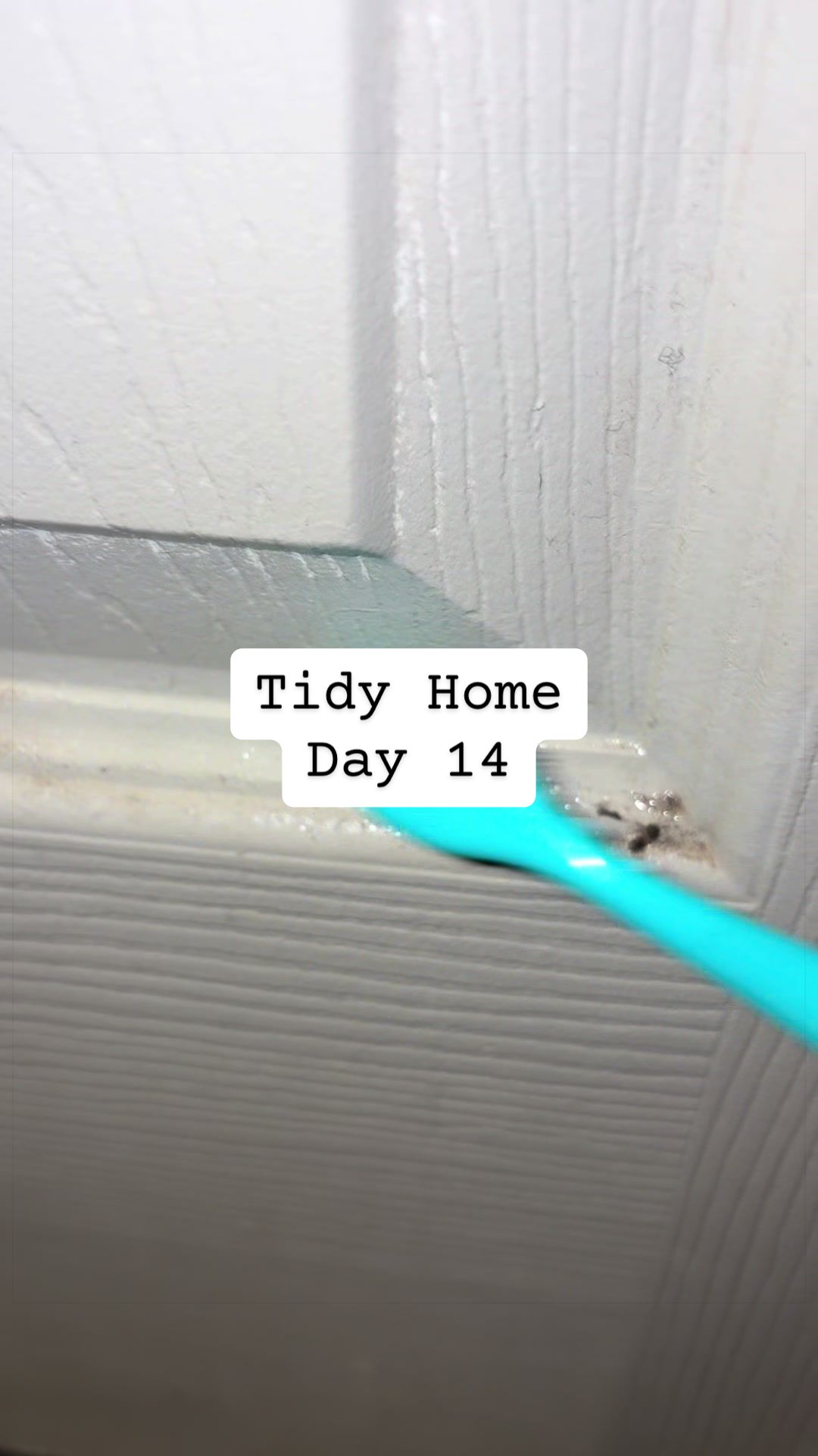 @Tidy_Tabitha