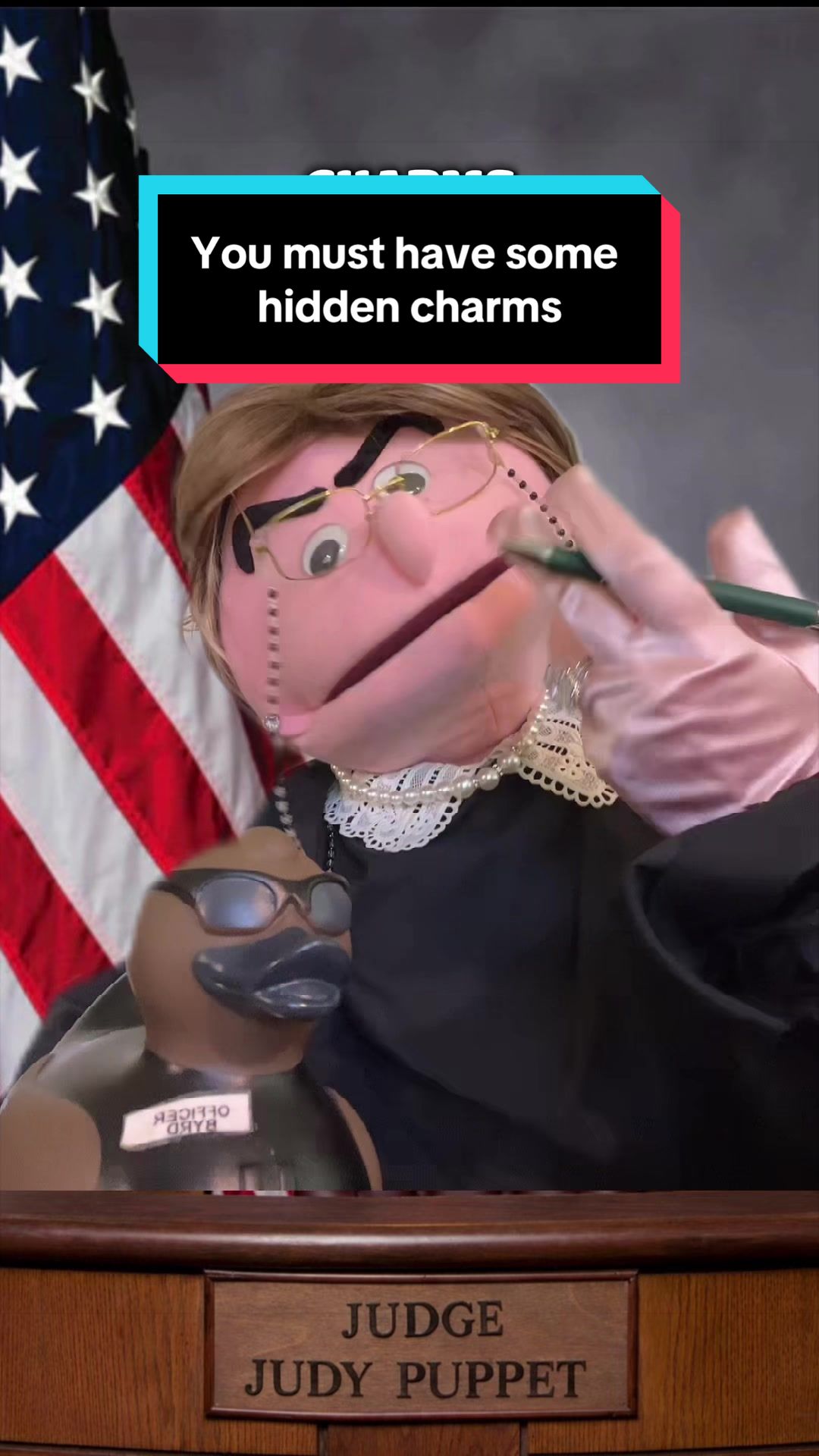 @Judy the Judgey Puppet Show