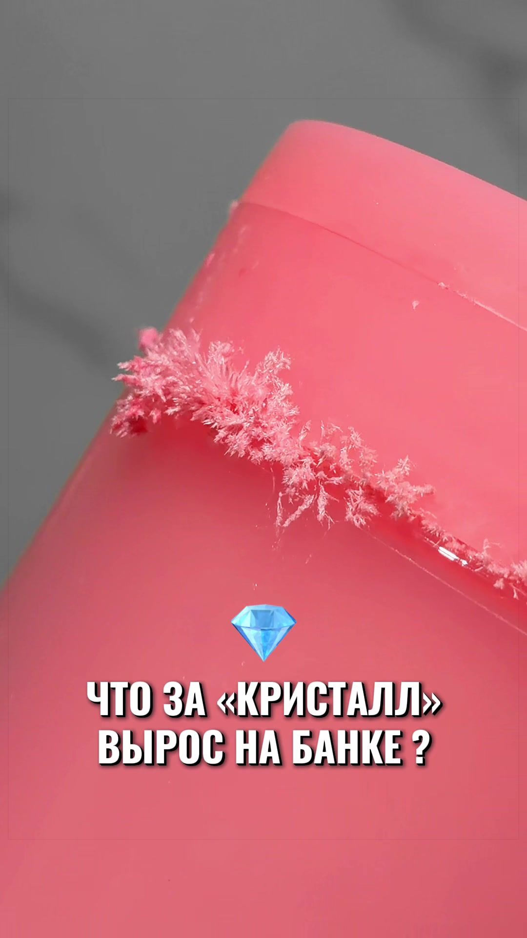 @ТГК: KSU_SFX🐸LIVE
