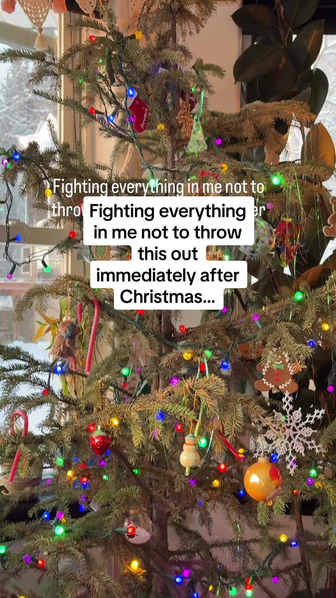 @thealaskanaura