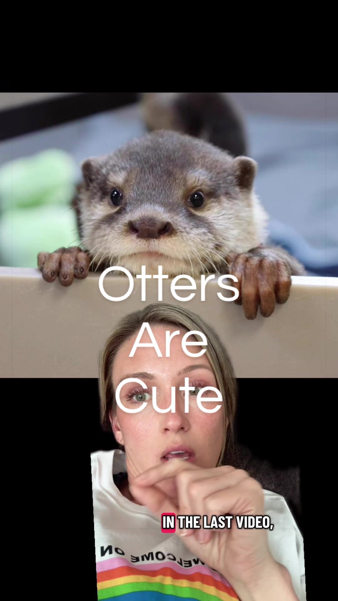 @SarahMakesMeLaugh