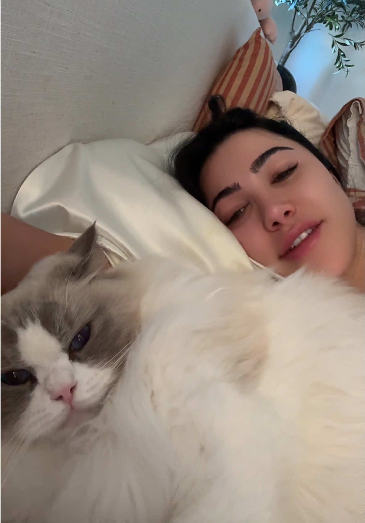 @Sara Hesri