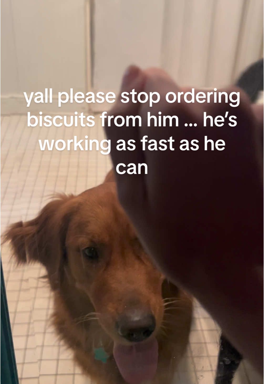 @saintbluepuckett