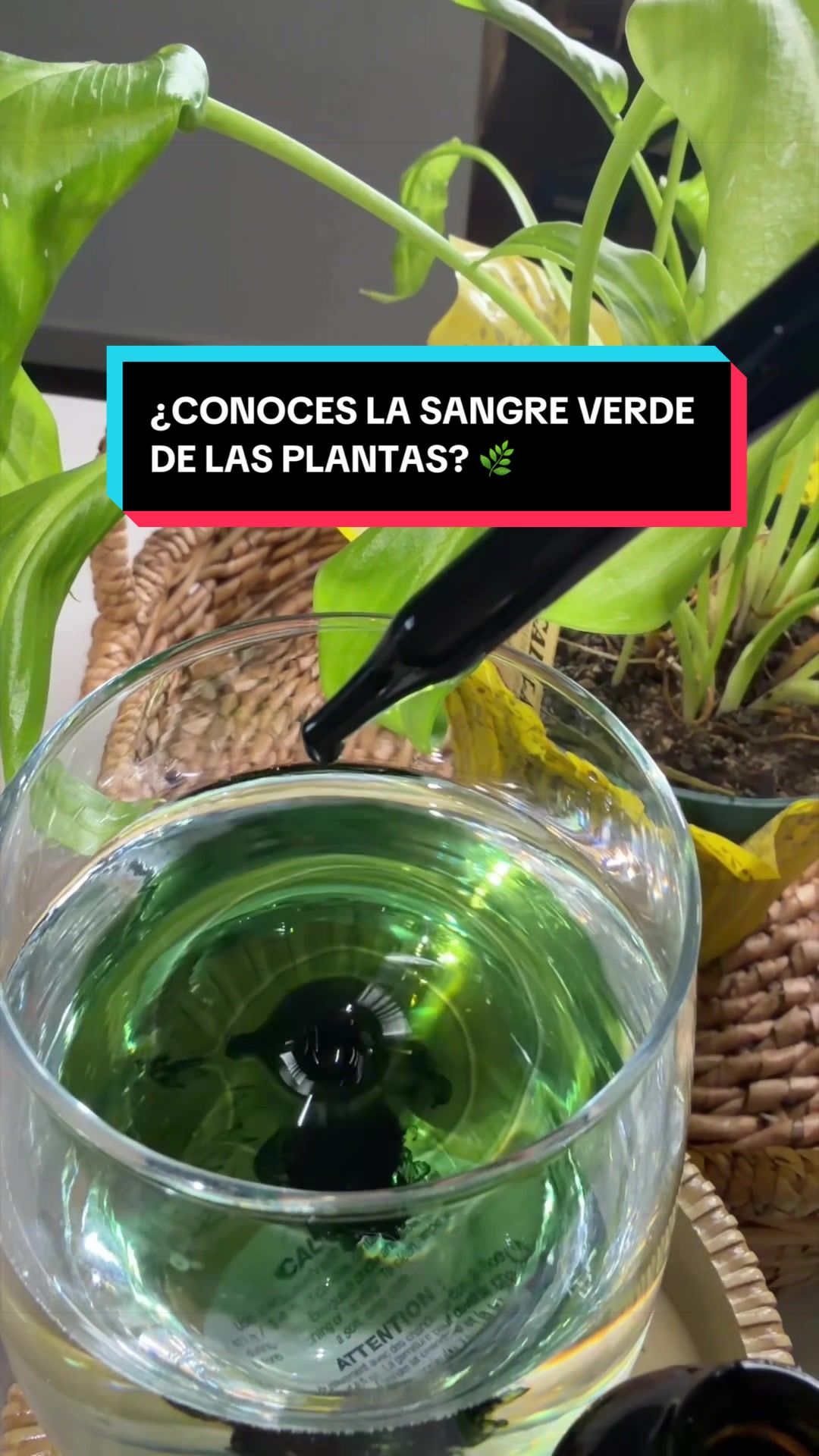 @Exploradora del Alma