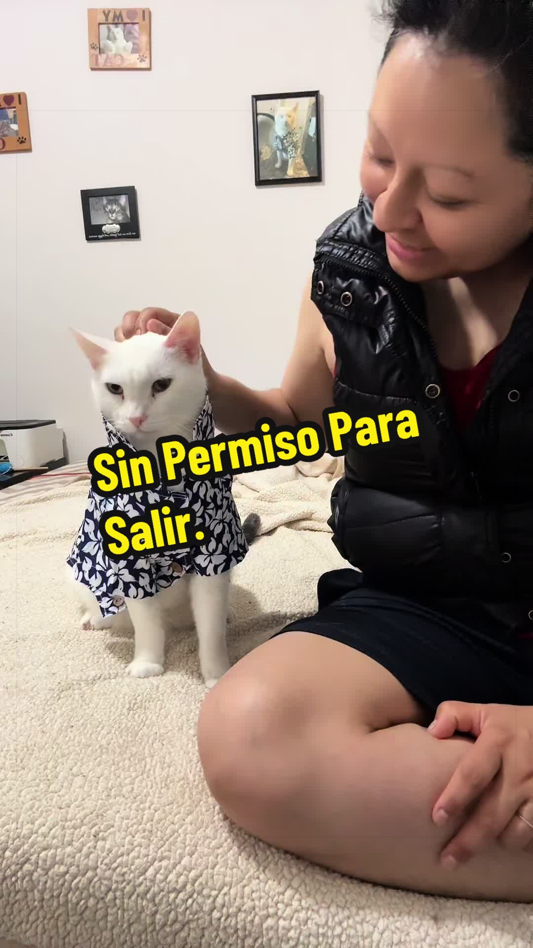 @🦖 MEOWassic CAT😺