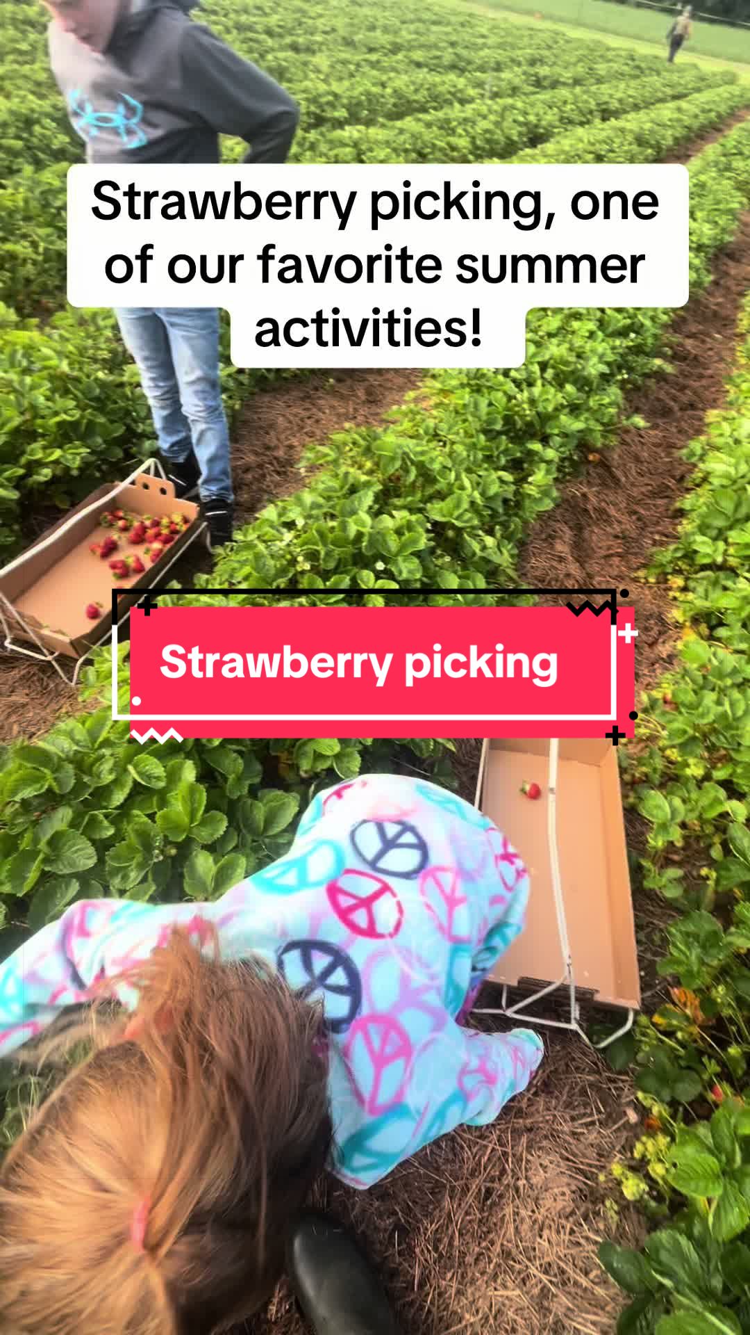 @littlesandycreekfarm