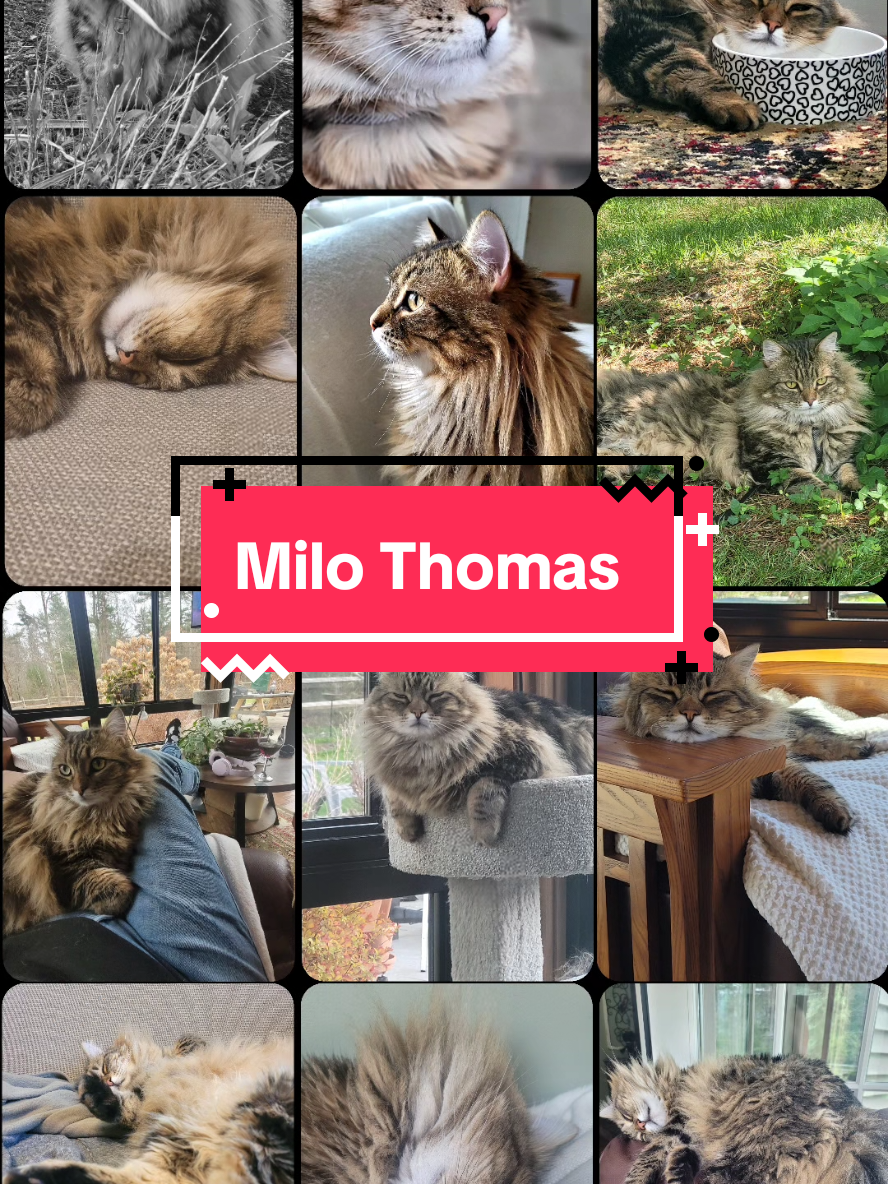 @Dawn...Never Bored 🥳