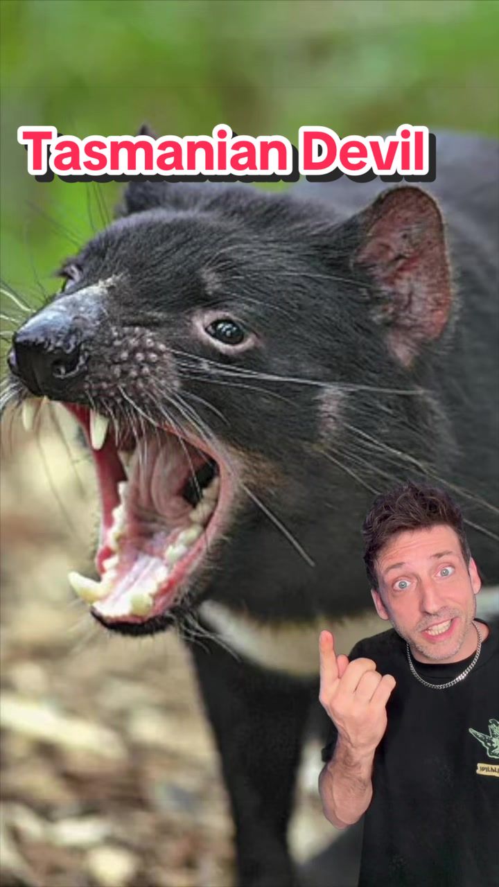 @Odd Danny