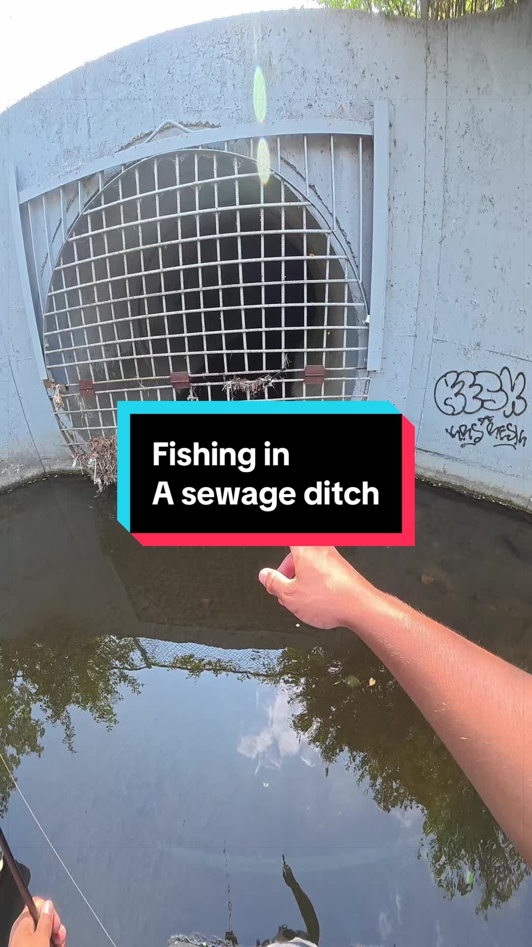 @Garcia bros