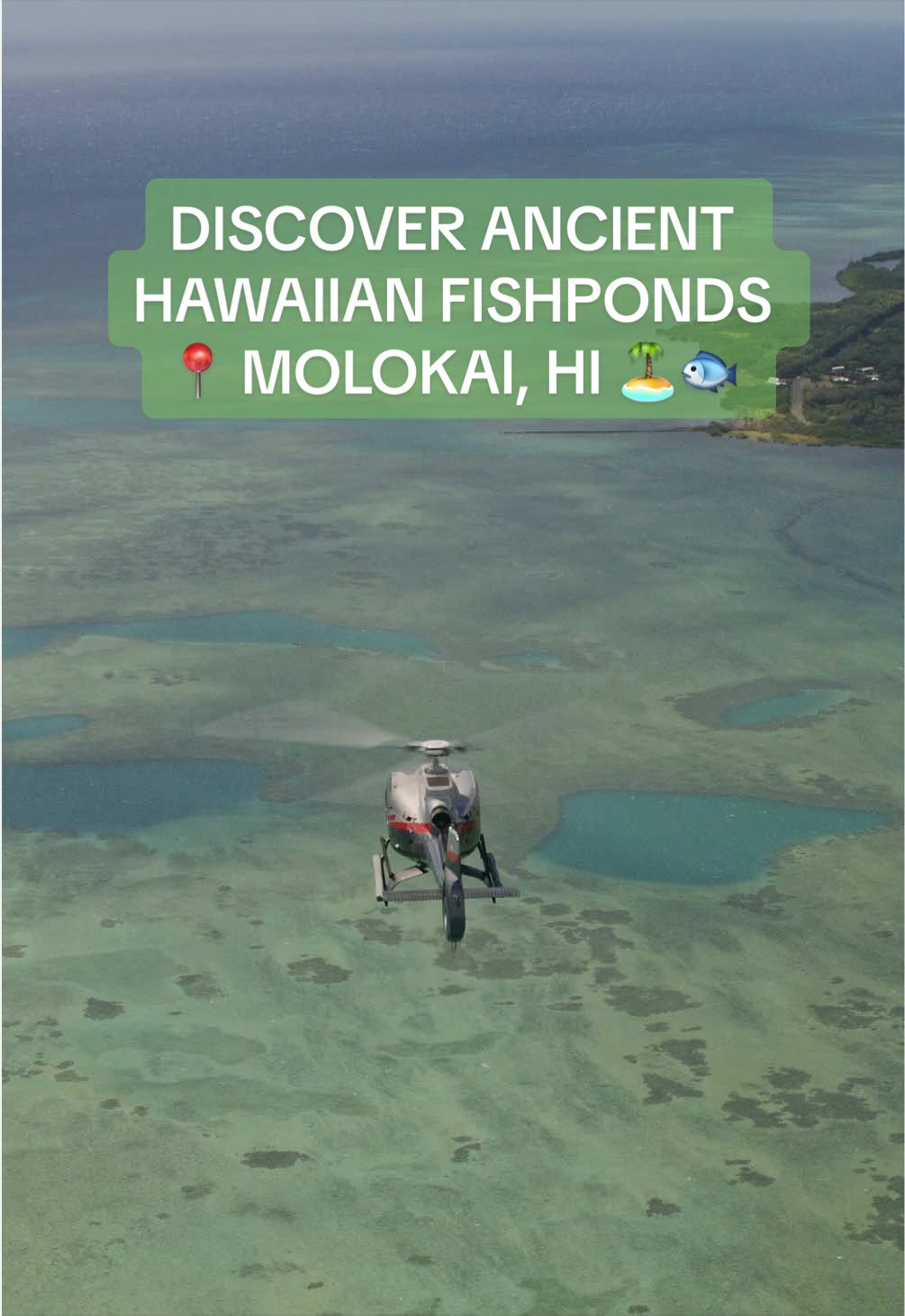 @Maverick Helicopters