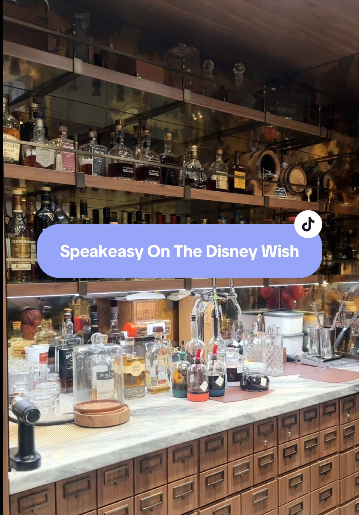 @Mackenzie|Travel Agent|Disney