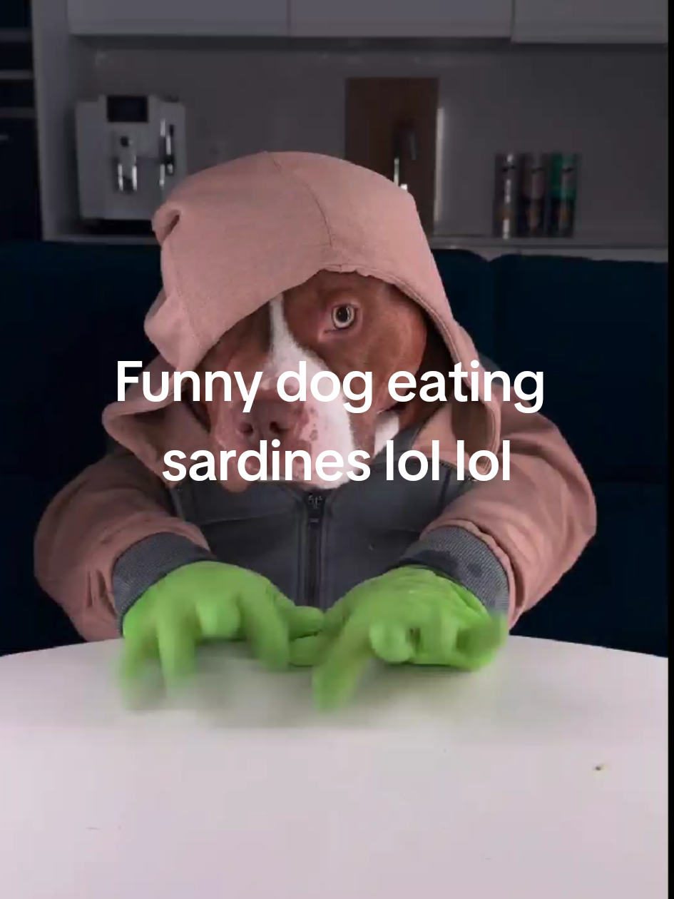 @cornbread12345
