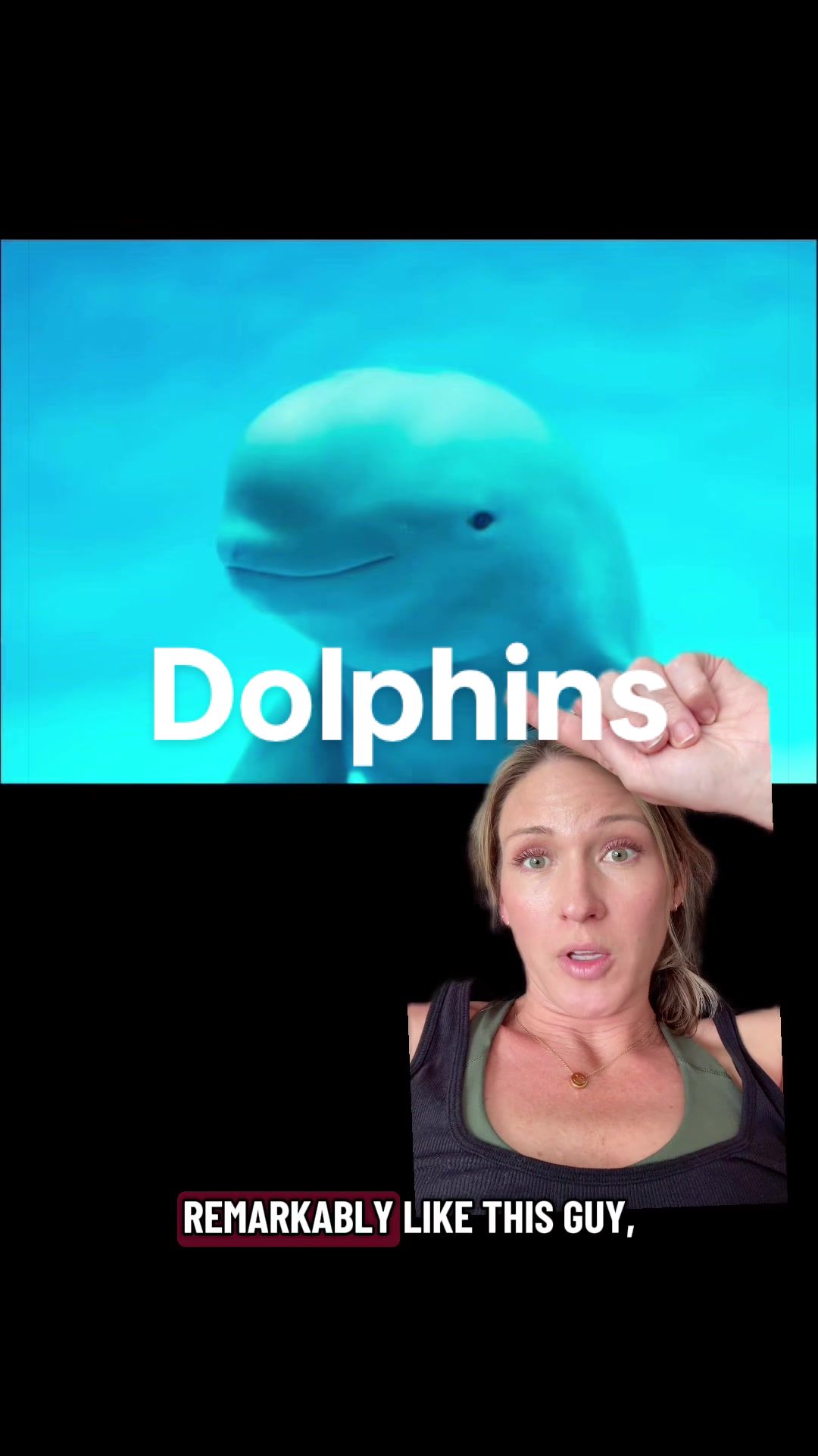 @SarahMakesMeLaugh