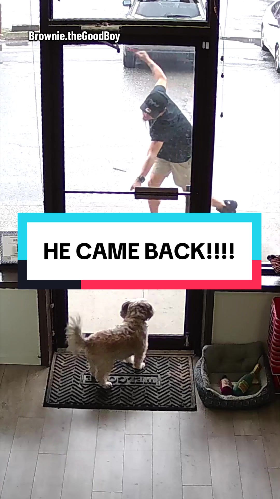 @Brownie #1 Store Dog Greeter