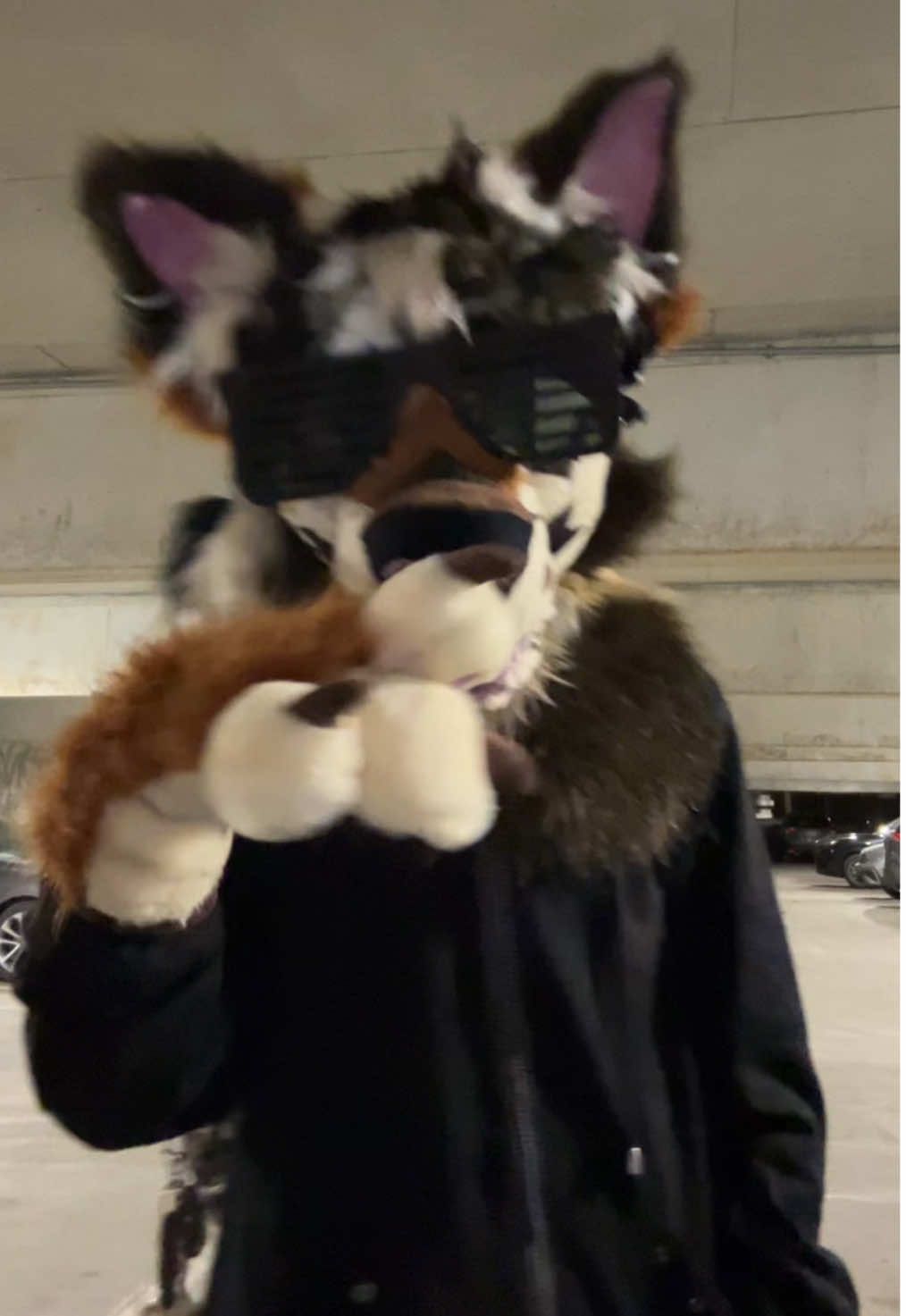 @furtanyl🐺