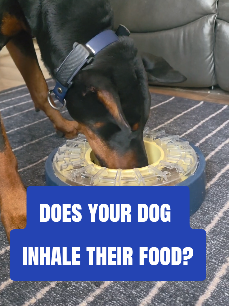 @Dobergoats Cash & Kaia