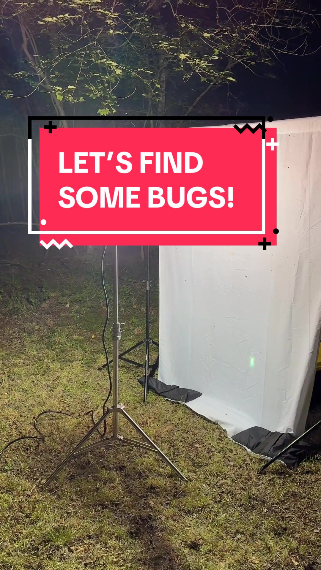 @DoctorBugz