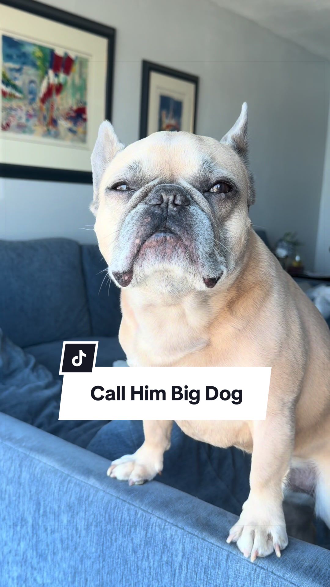 @Somefrenchienamedapollo