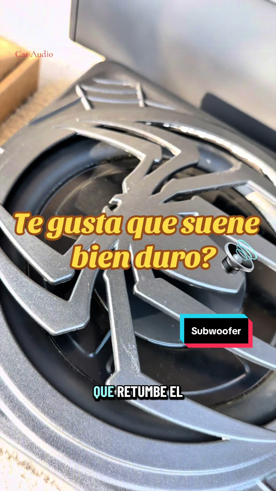 @raultelodice