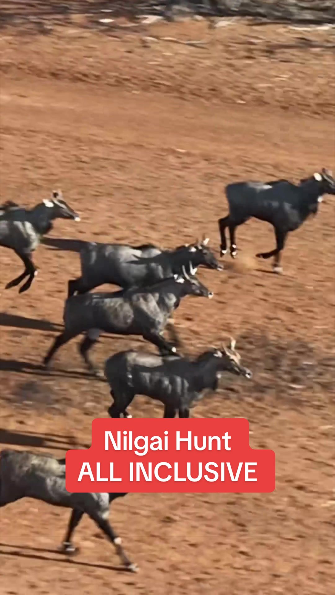 @Texaslandspecialist