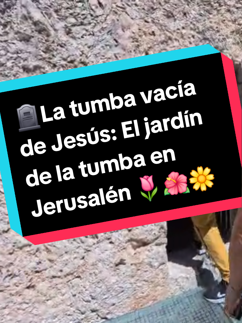 @Miguel Sánchez Ávila