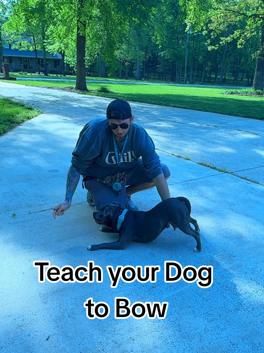 @Lost Boys K9 Academy