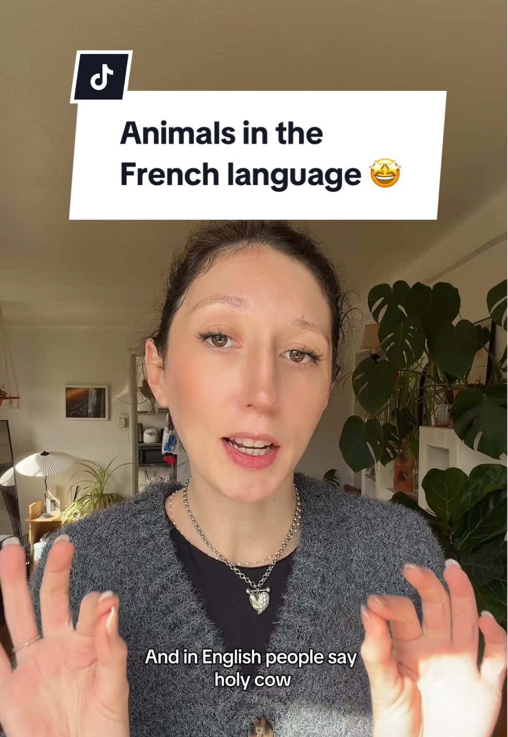 @Little Miss Frenchie