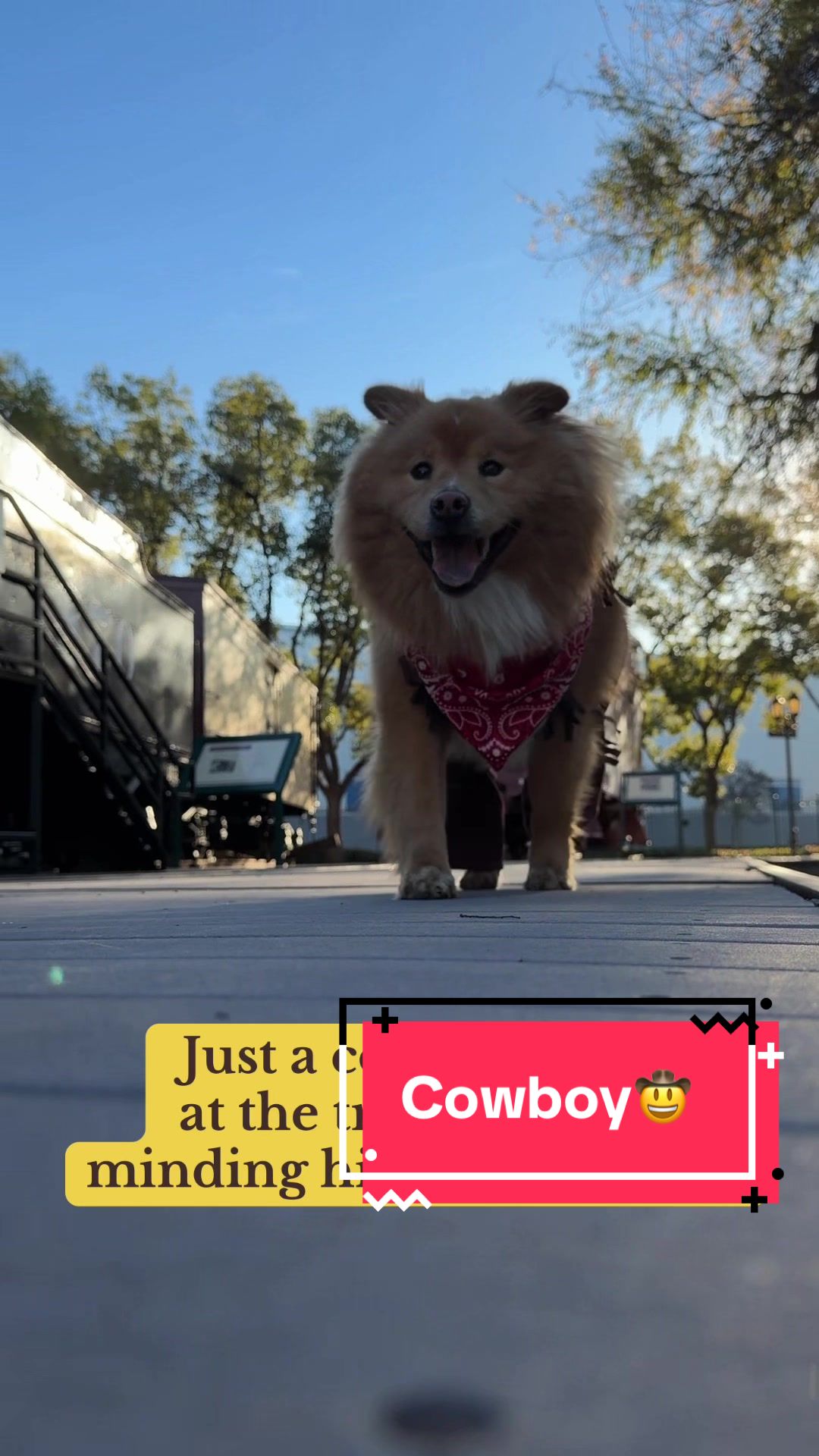@Hedwig 💕👑🐶👑💕