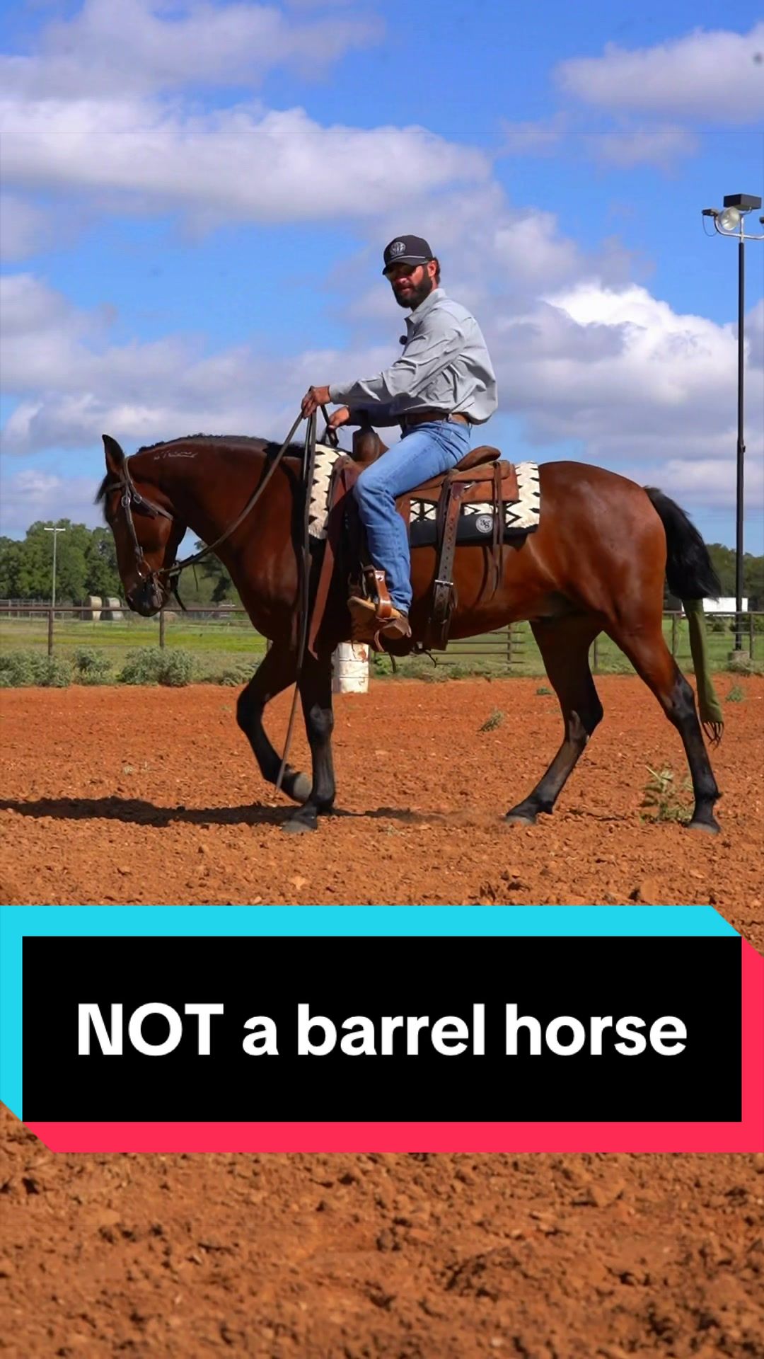 @WS Horses