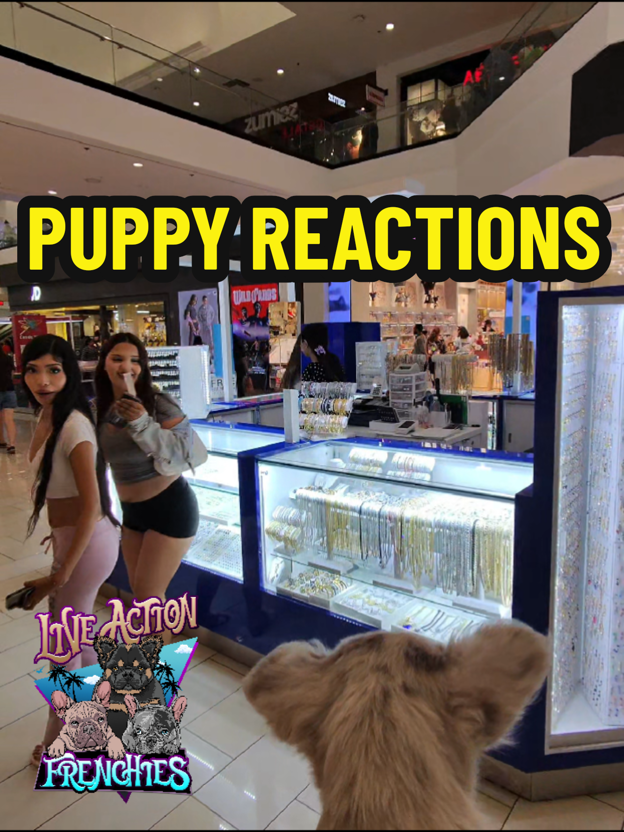@Live Action Hype Shop