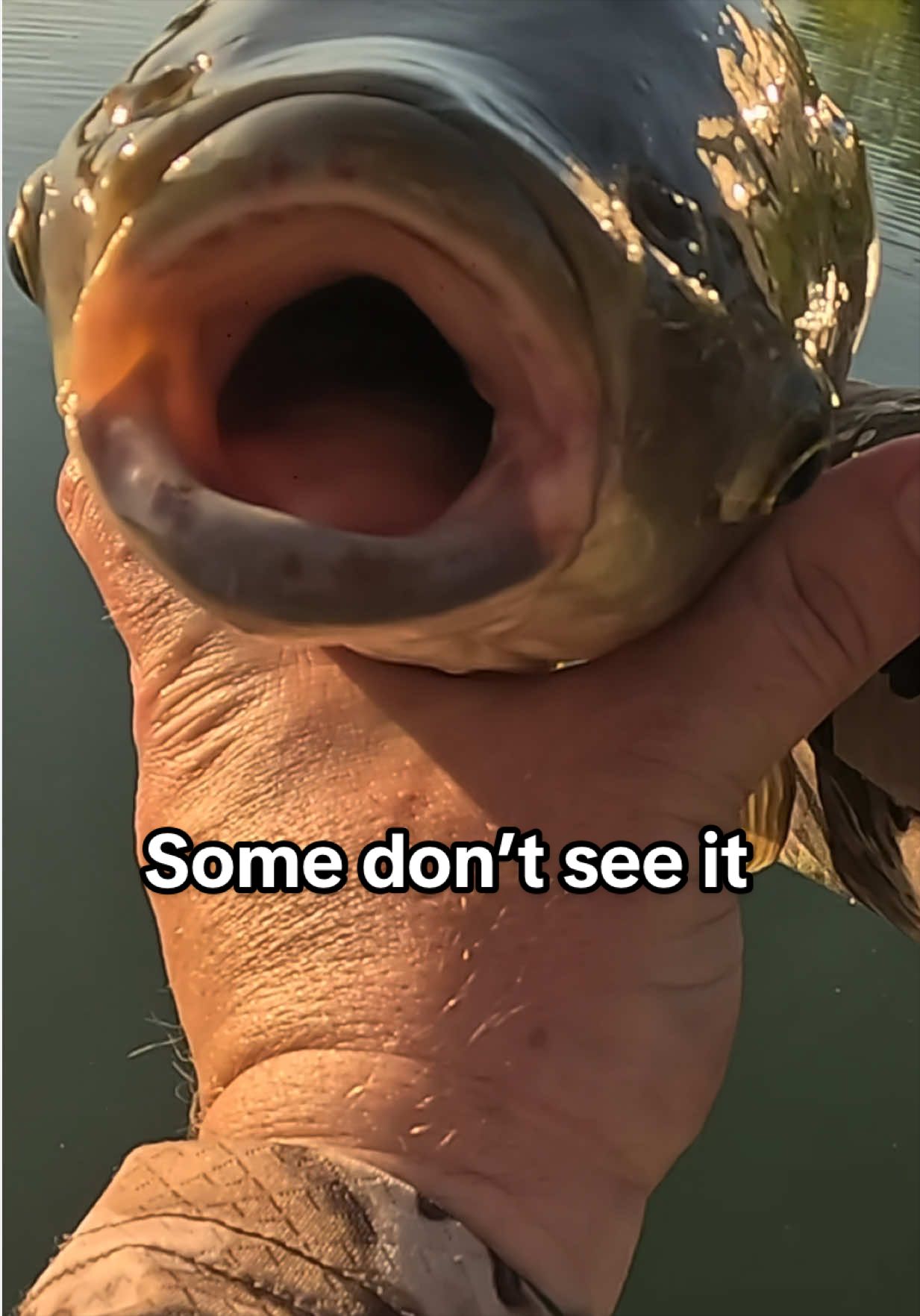 @Dunamis Angling