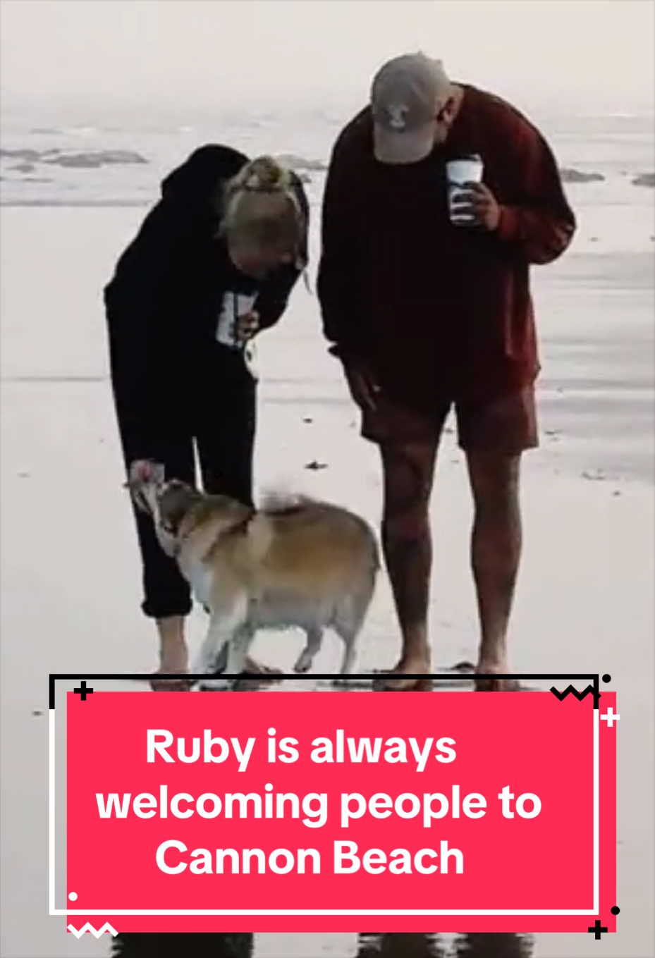 @Ruby the Pomsky
