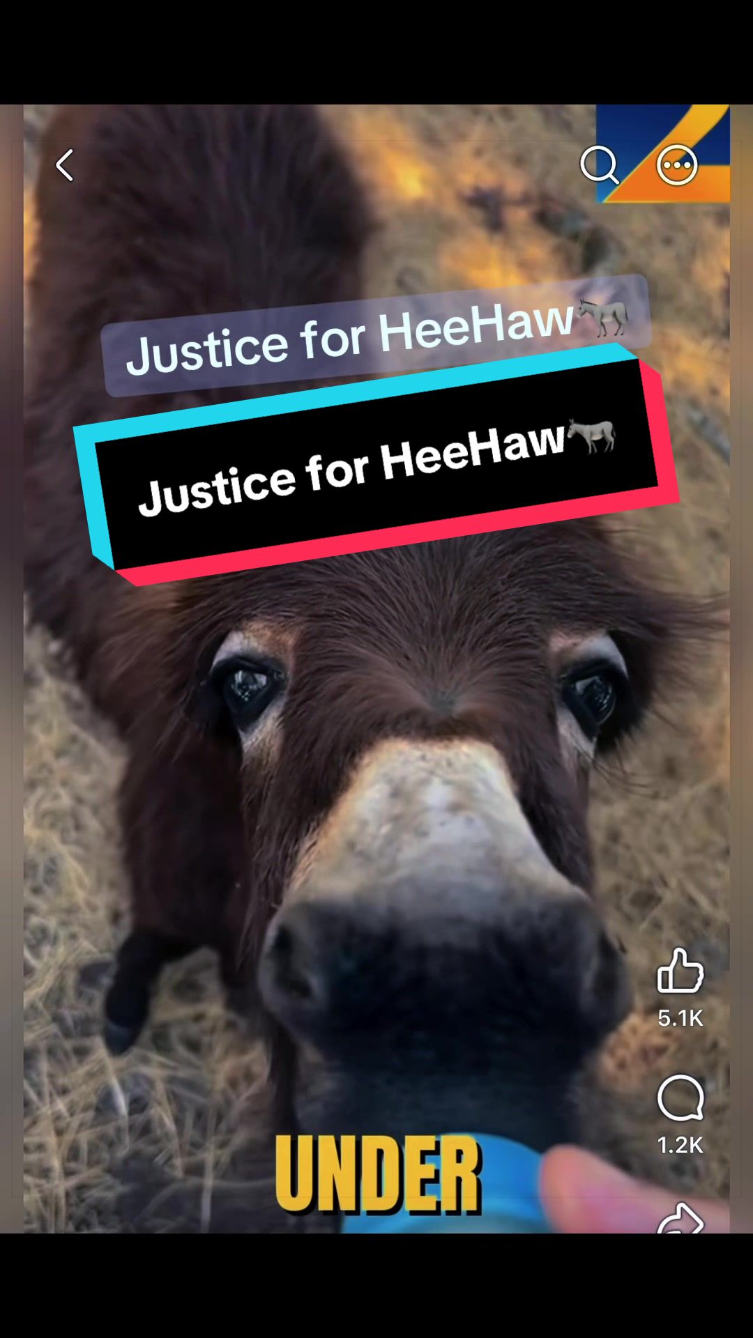 @policelawnews