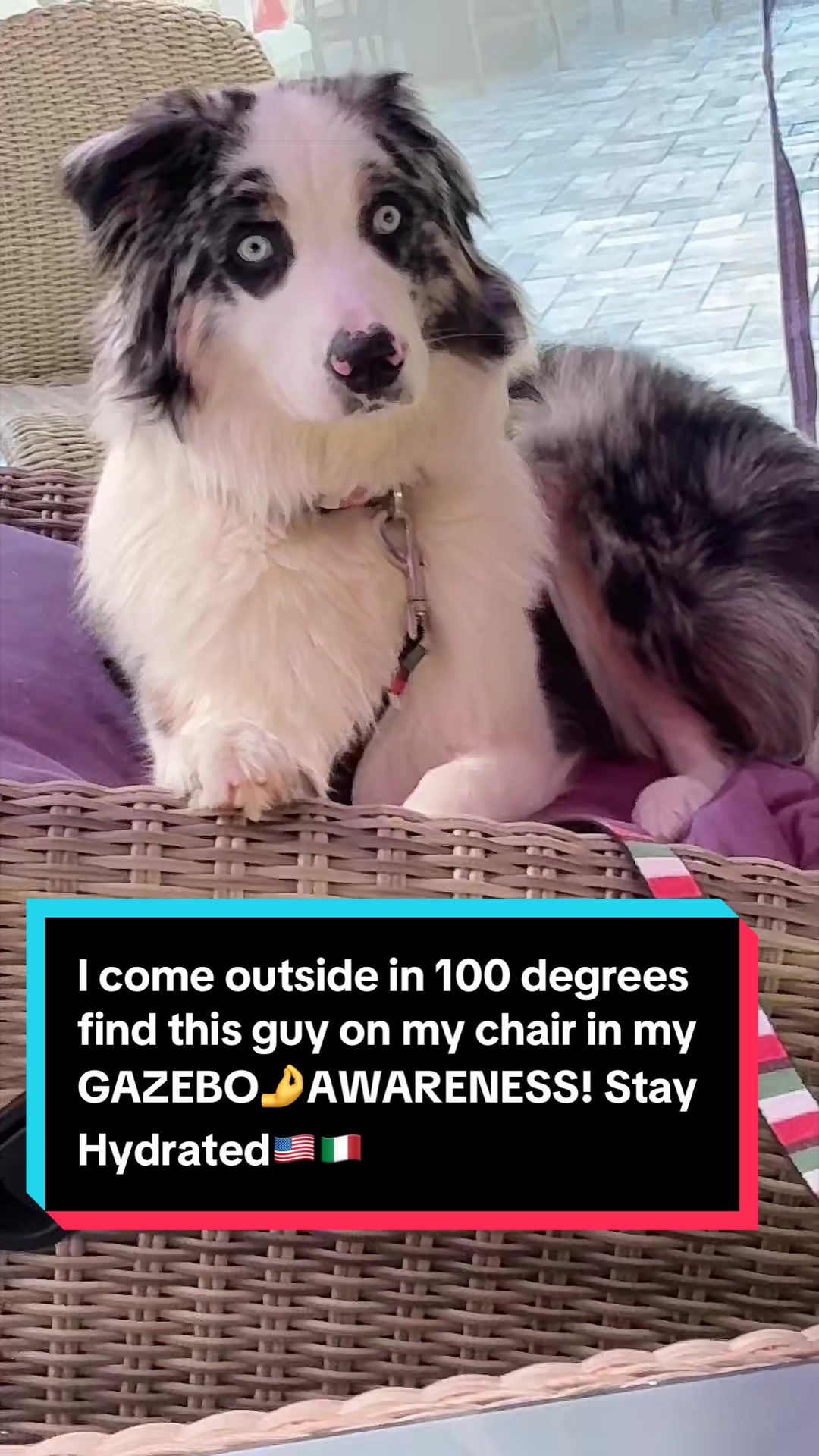 @GuidoFellaTheGodFatherOfTikTok