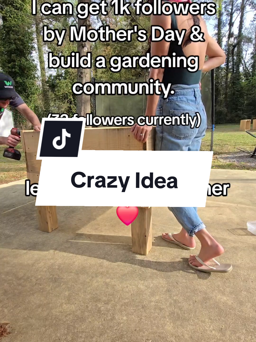 @Seed To Bloom