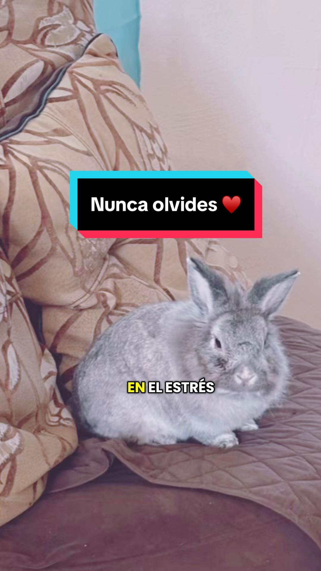@8luisplaza8