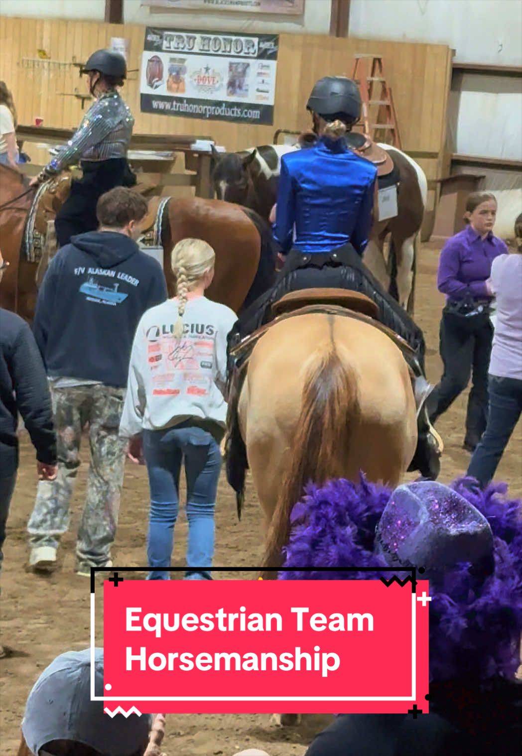 @yourhorseandponyleader