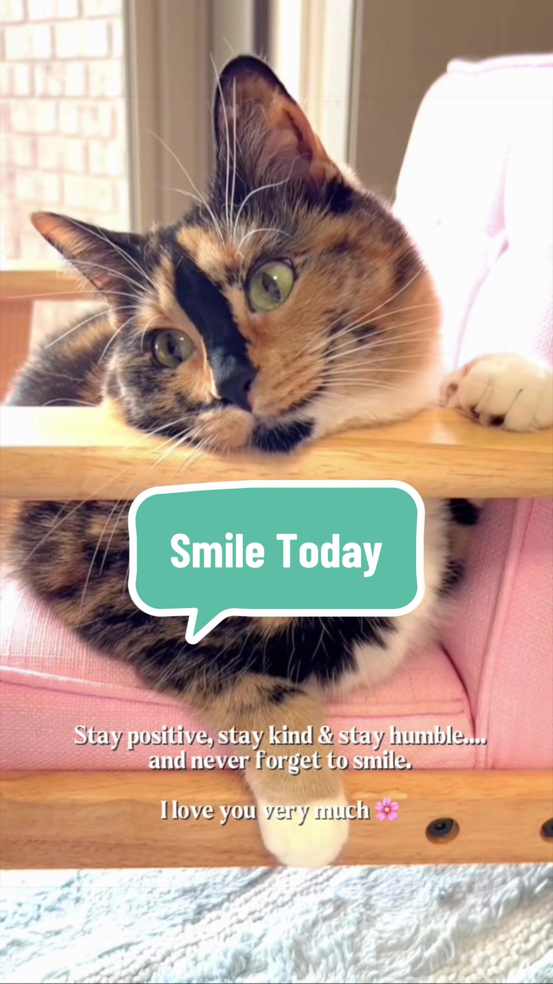 @SnickersTheSmilingCat