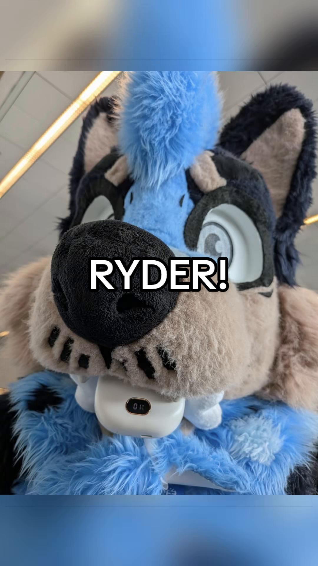 @Ryder!