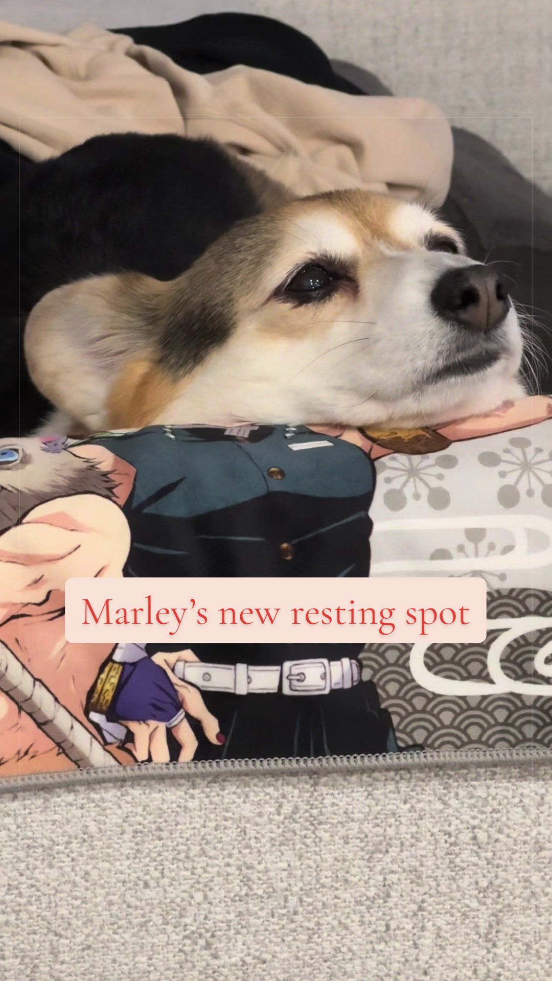 @Marley