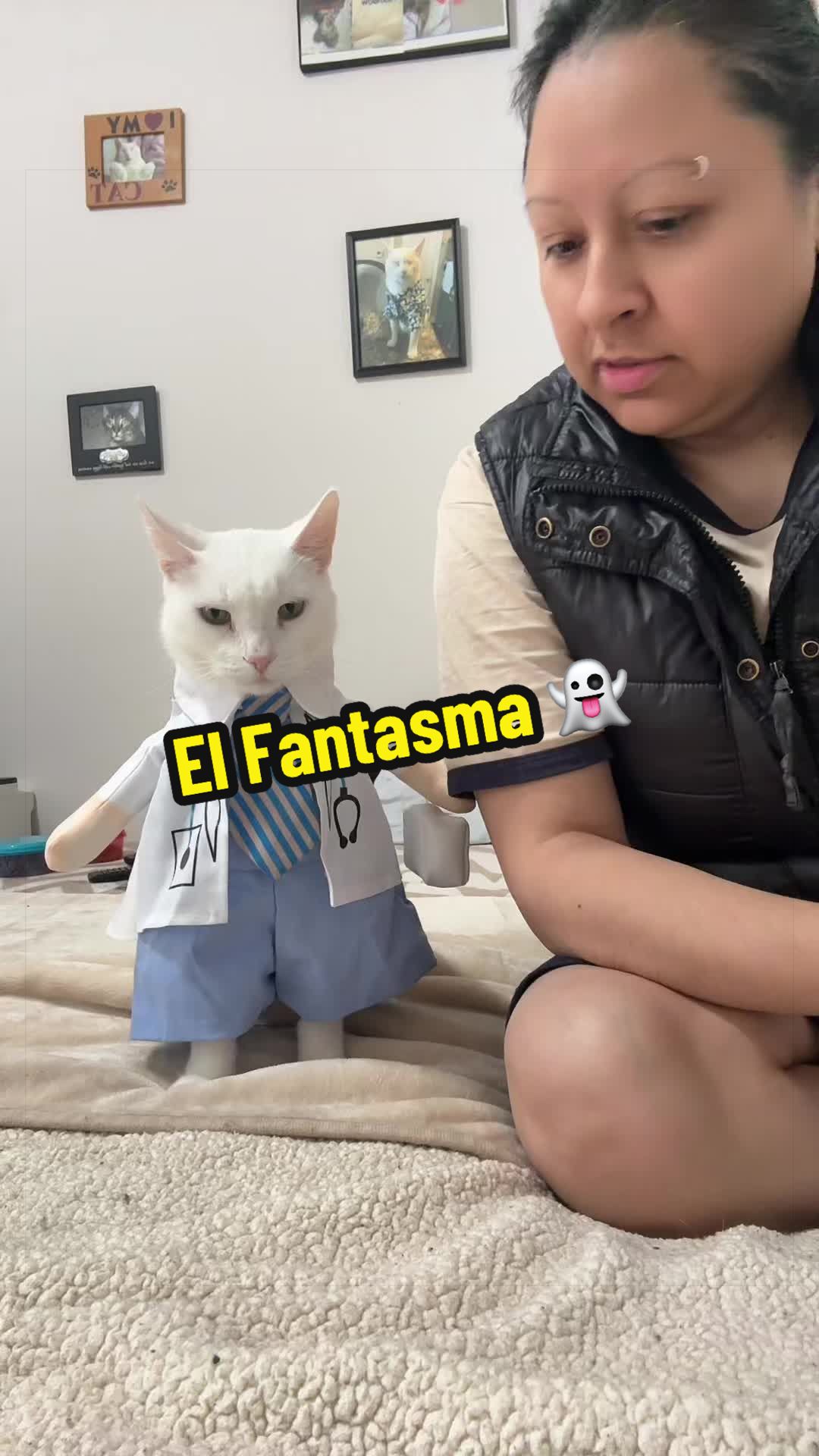 @🦖 MEOWassic CAT😺