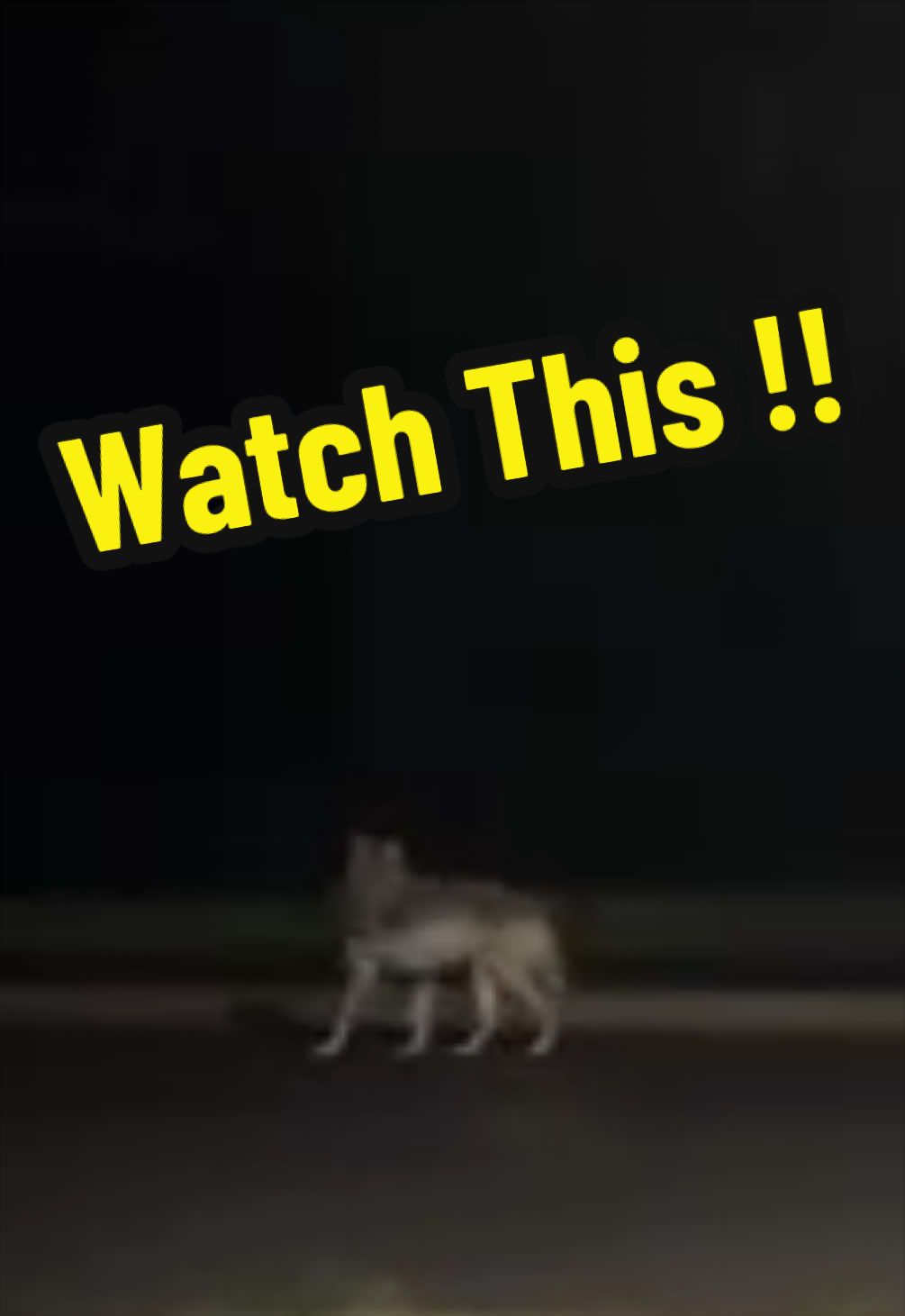 @i_am_not_Ayydot