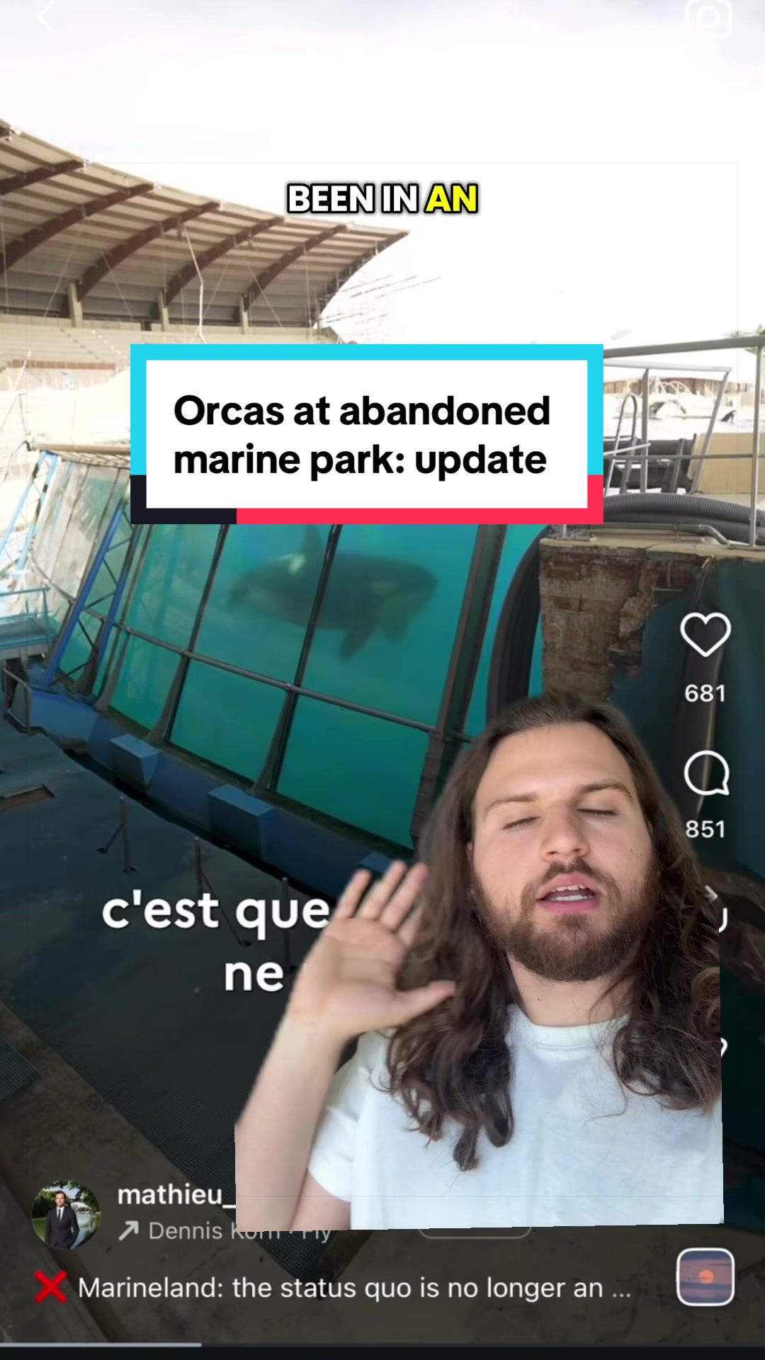 @The Orca Man
